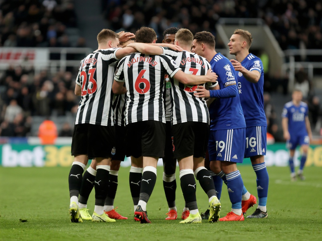 可以看出 可以看出